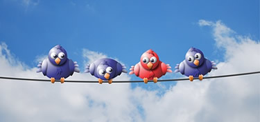 Birds on a wire, one lone red bird